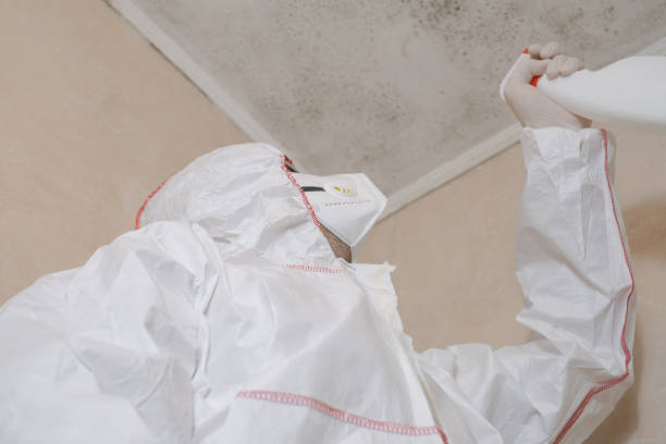 Best Mold Testing and Inspection Services in West Hurley, NY